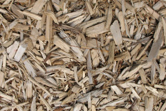 biomass boilers Trebanos
